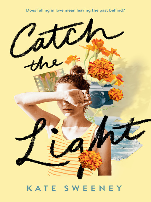 Title details for Catch the Light by Kate Sweeney - Wait list